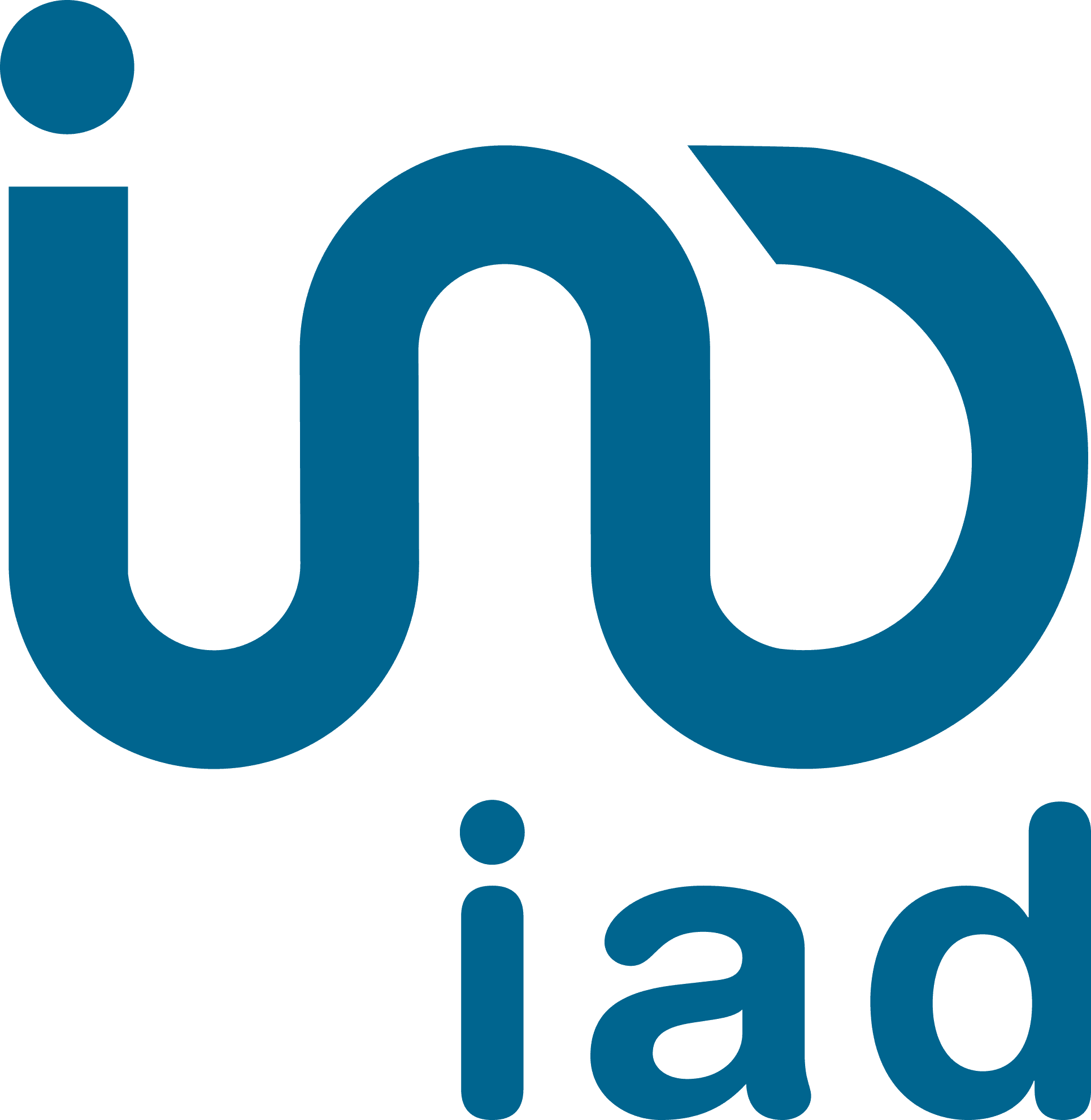 IAD - Team Rizzelli