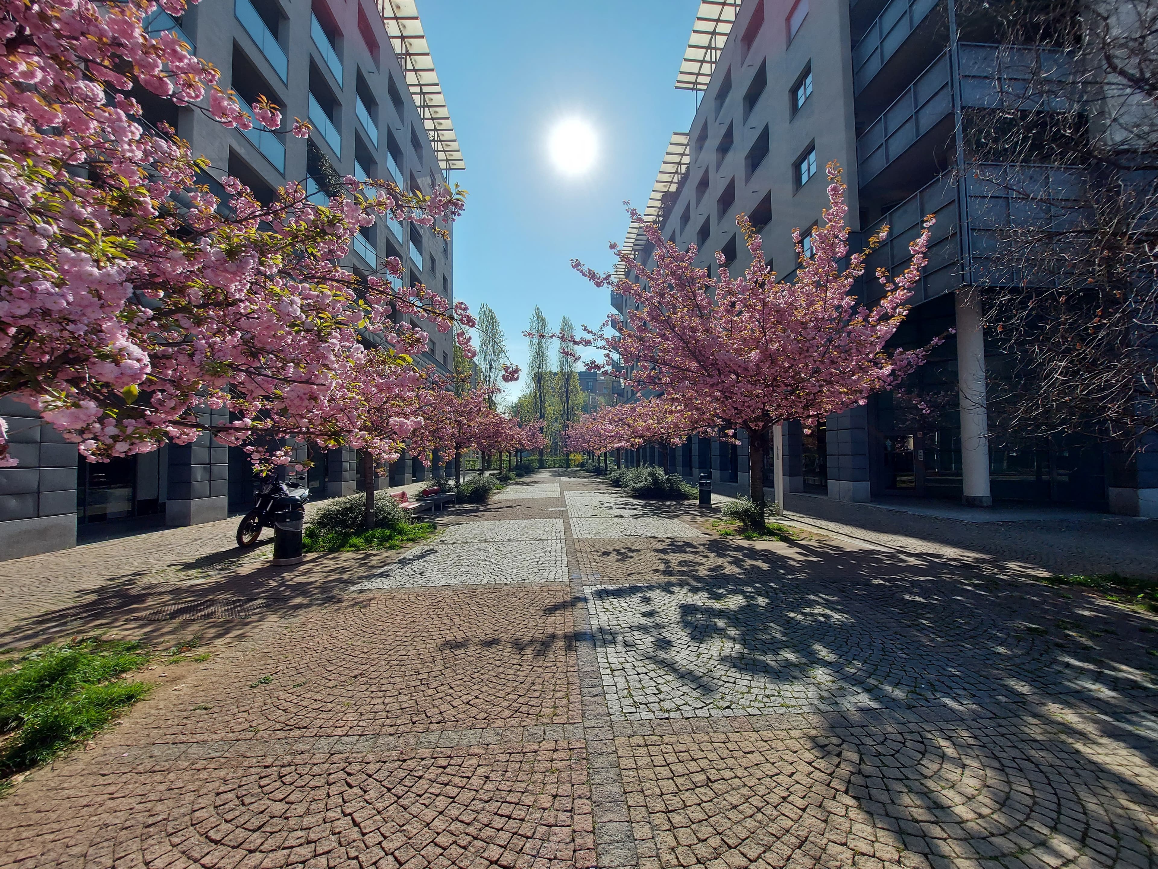 Alessandro Iocola - Agente Immobiliare a Torino