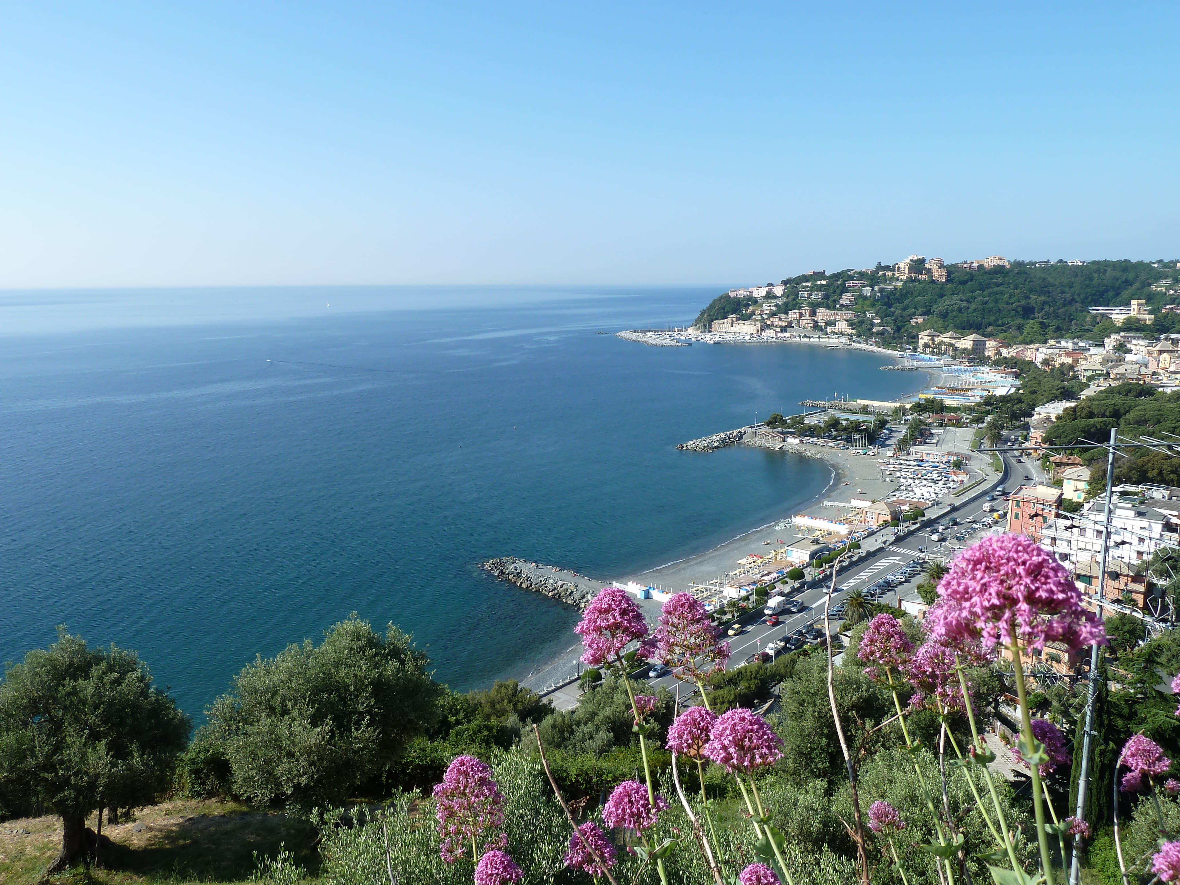 Arenzano Immobiliare di Roberto Presciutti & C. s.a.s. - Agenzia Immobiliare a Arenzano