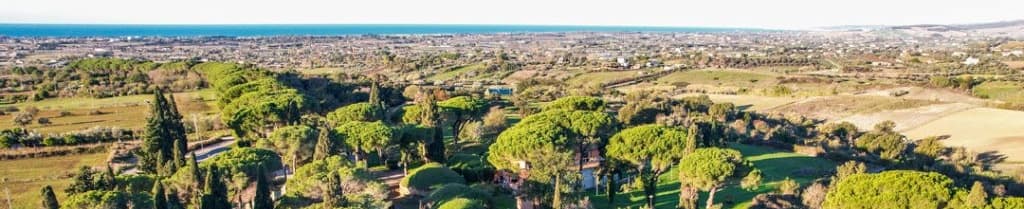 Marco Scrinzi - Agente Immobiliare a Cerveteri
