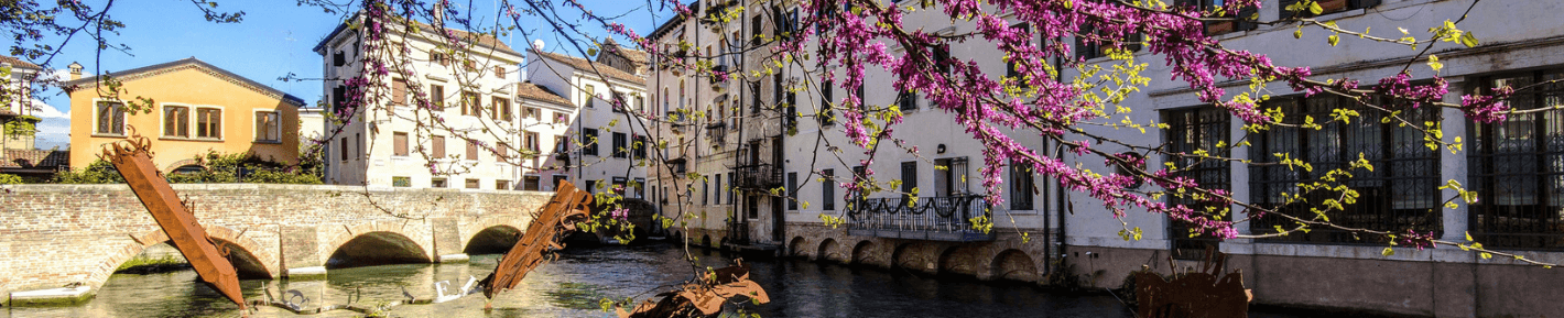 Cristiana Roveda - Agente Immobiliare a Dosson