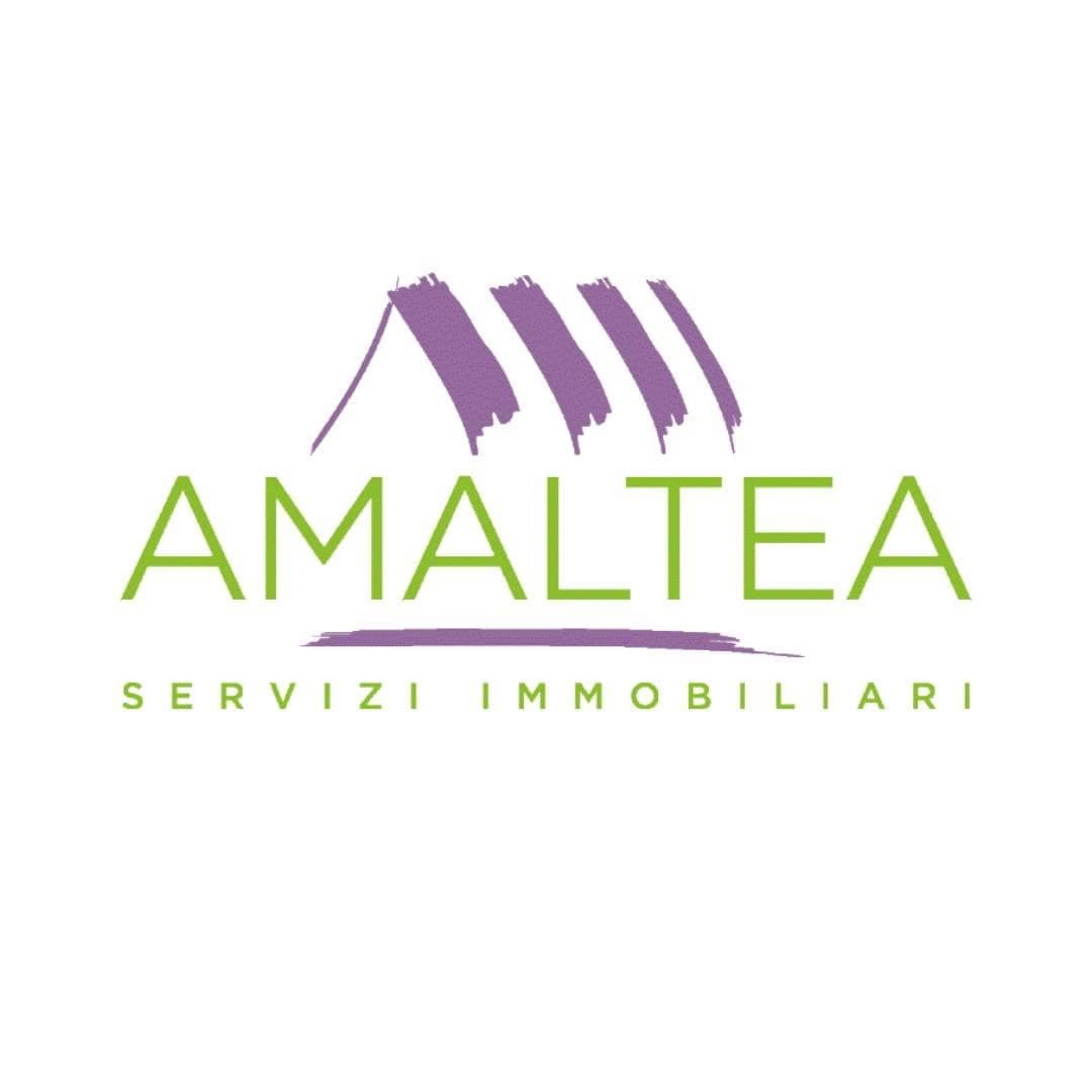 Amaltea Srls
