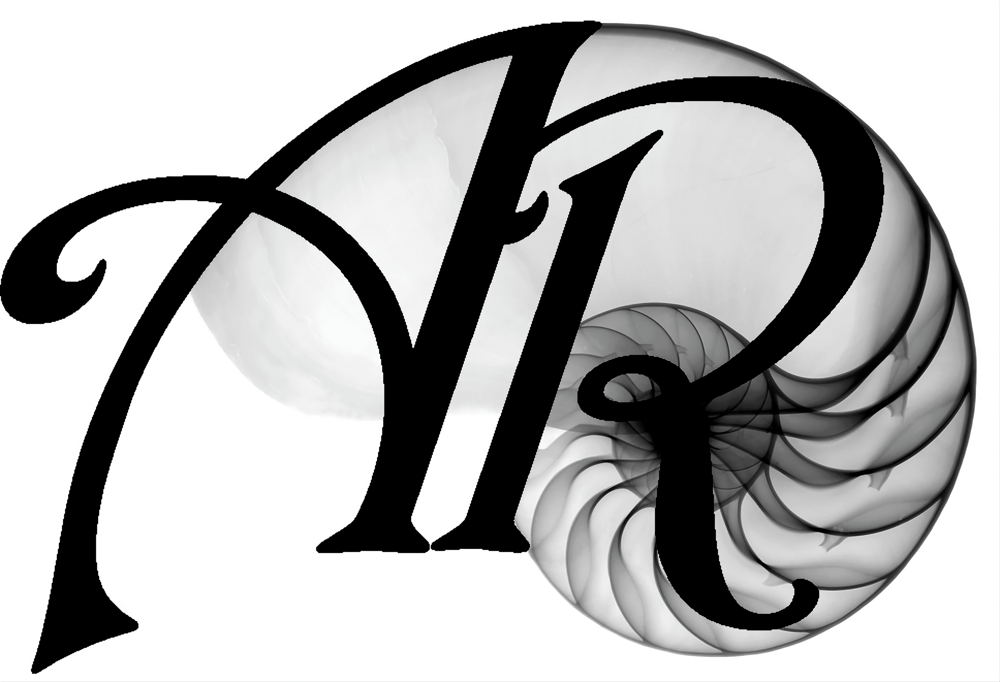 Aerre Immobili - Agenzia Immobiliare a Arezzo