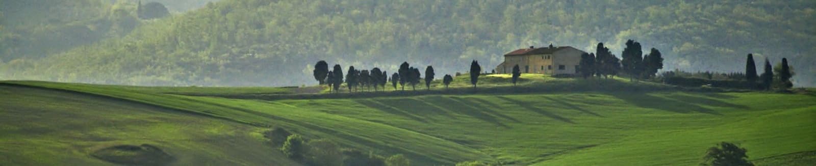 Alessandra Lai - Agente Immobiliare a Pisa