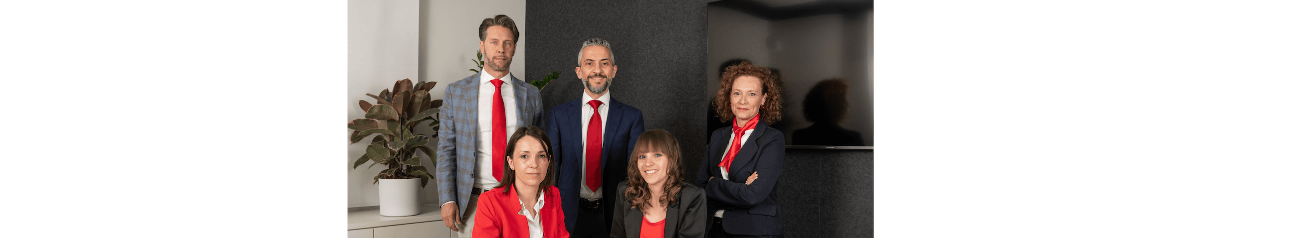 Faggian Mauro - Agente Immobiliare a Silea