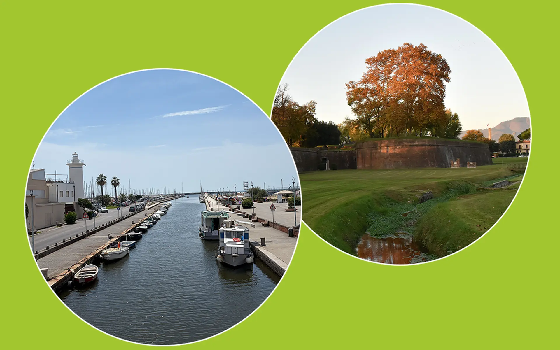 Massimiliano Giannecchini - Agente Immobiliare a Viareggio